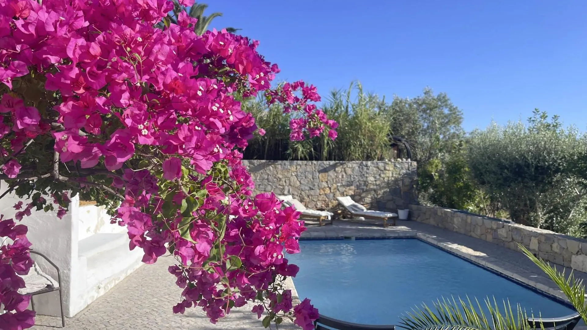 Homestay Casa Estrela Apartment Loule